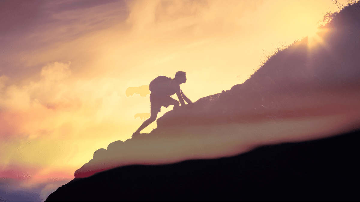 Measuring and Celebrating Success as a Creative