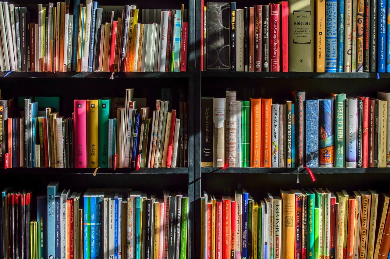 From Page to Screen The Art of Adaptations
