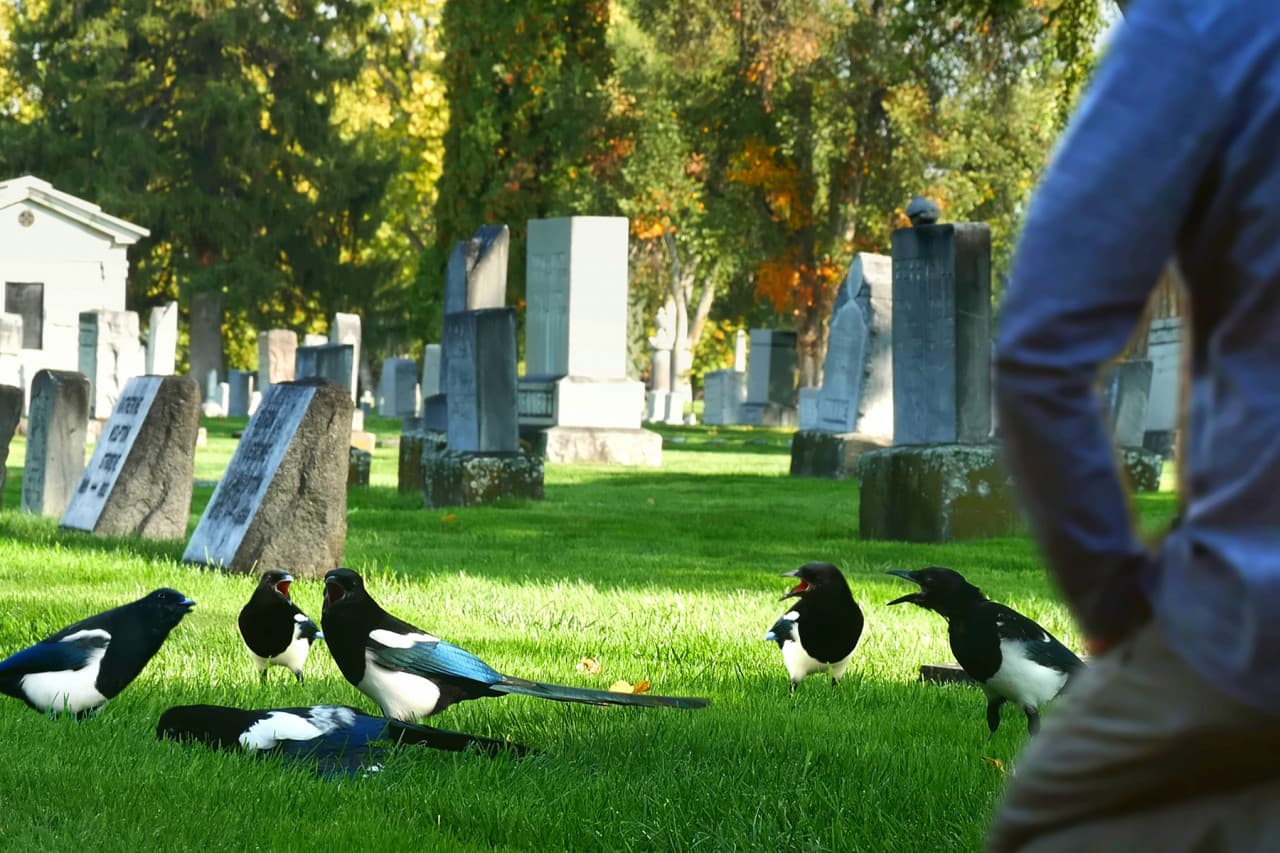 3 Tales Of My Feature Films Near Death
