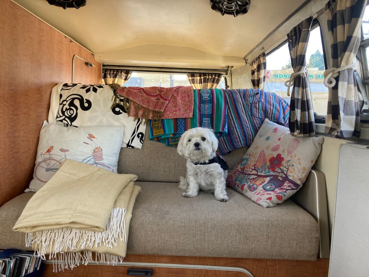 What Road Tripping in my 1969 VW Bus Taught Me About Filmmaking
