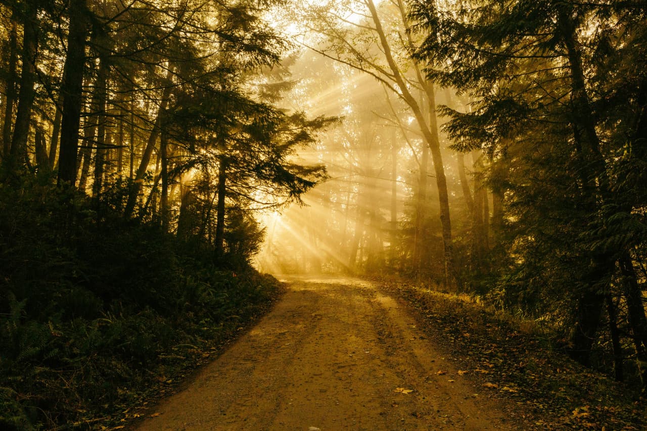 Unveiling the Heroic Journey A Template for New Screenwriters