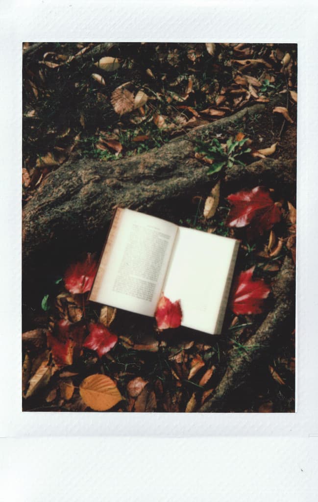 How I Turned an Optioned Script into a Book