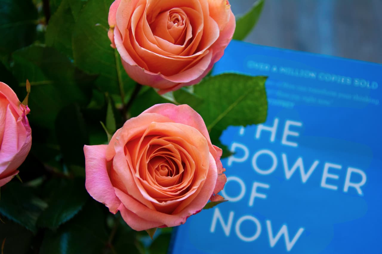 Embracing the Journey Turning Writers Into Entrepreneurs