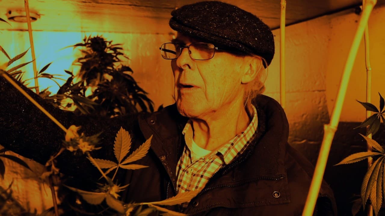 The Story of a Painter in Recovery