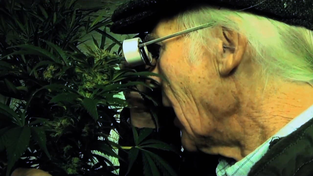 The Story of a Painter in Recovery