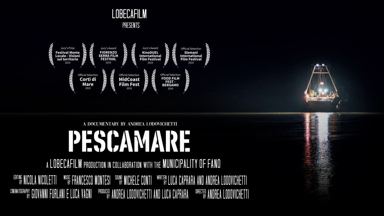 Why Authenticity Passion Should Drive Your Filmmaking Career