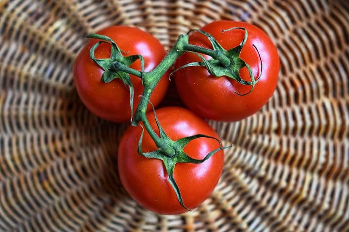How a Tomato Can Help You Meet Your Writing Filmmaking Deadlines