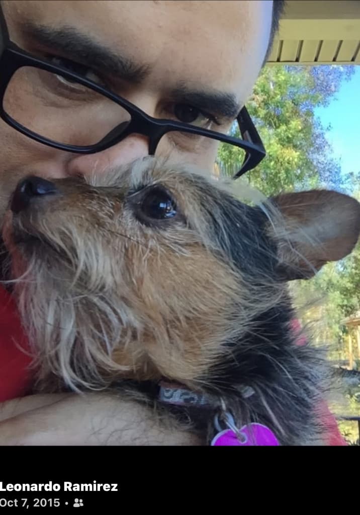 My Stage 32 Story Persistence Healing Creative Breakthroughs in Year 3