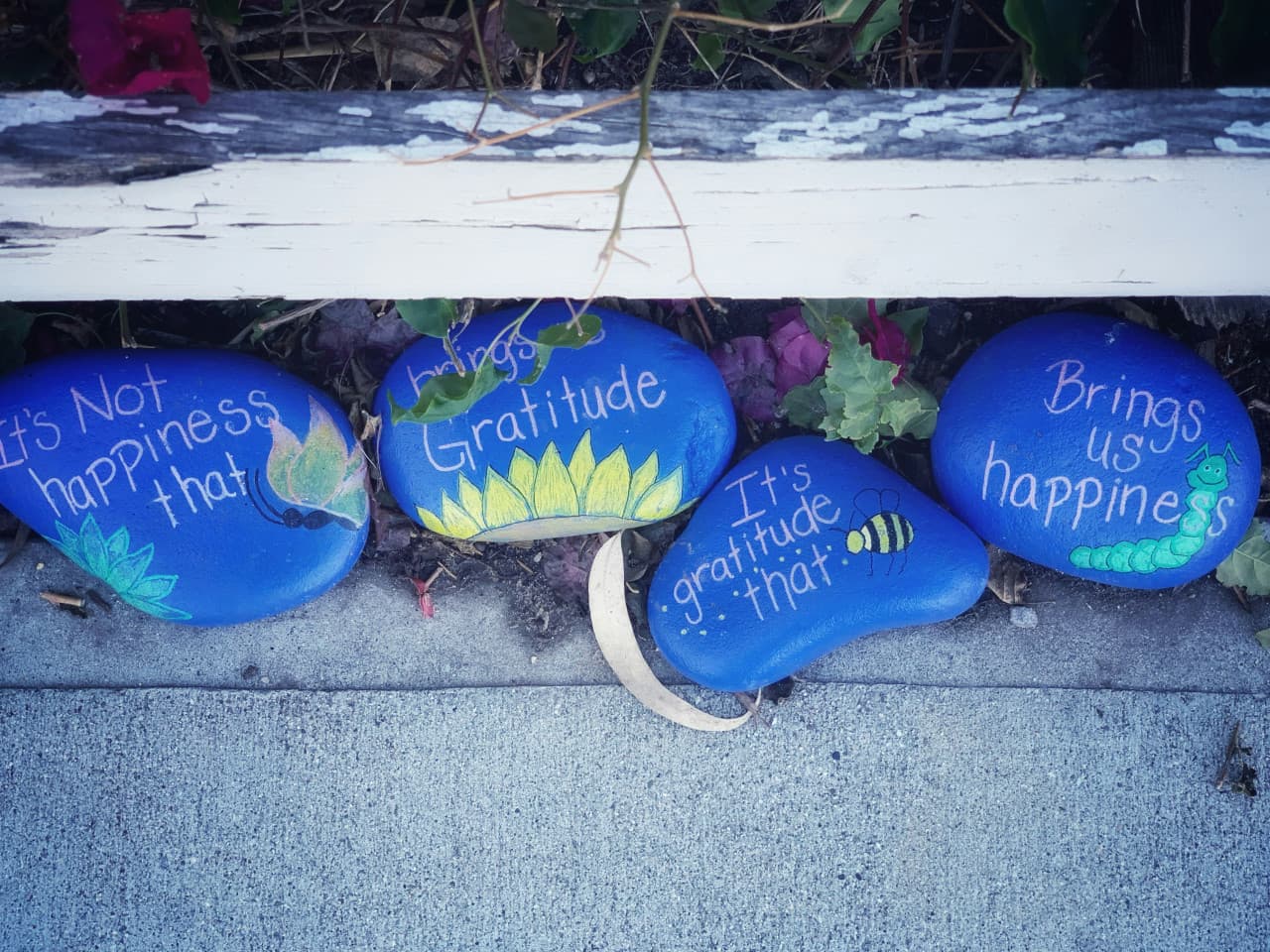 Say Thank you Why Gratitude is Your Superpower