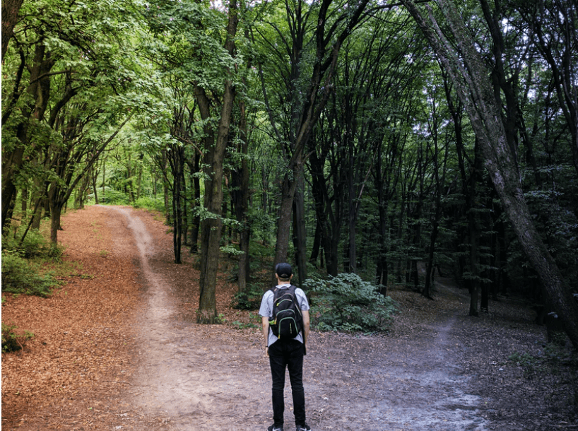 The Road Most Traveled Shifting Your Perspective on Success in Entertainment