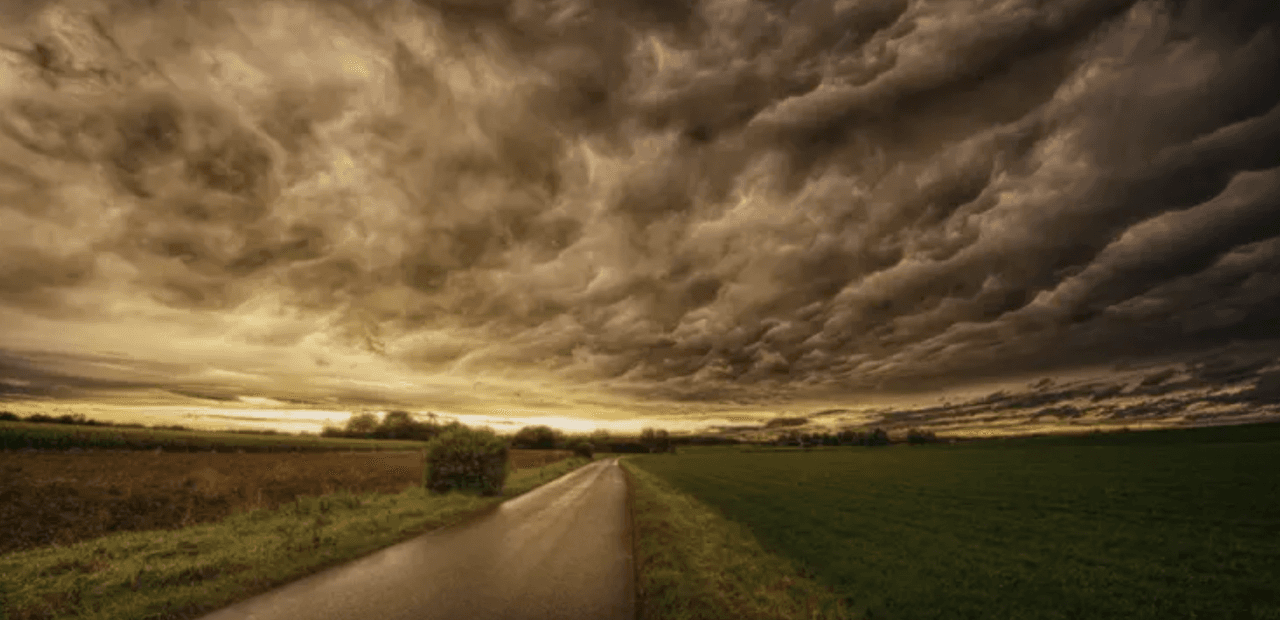 To Have Or Not To Have Production Insurance