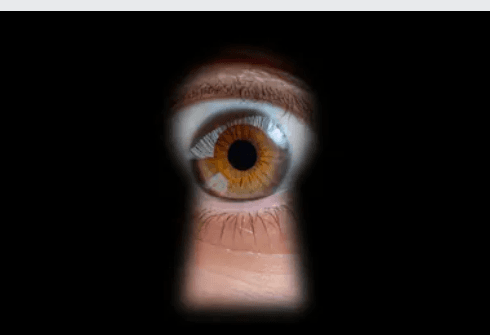 The Power of FactChecking Making the Right Choices for Your Career Project