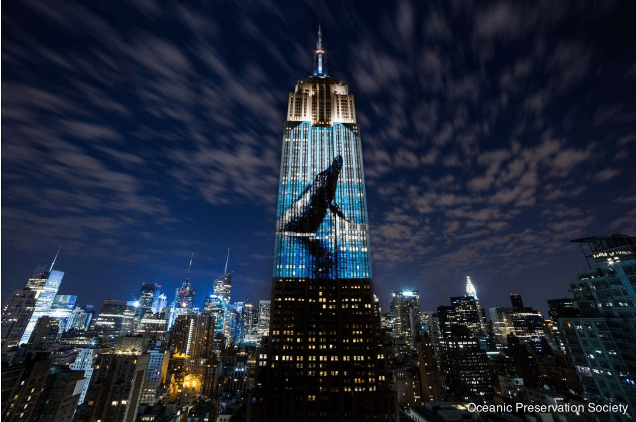 How Filmmakers Can Help Save the Environment