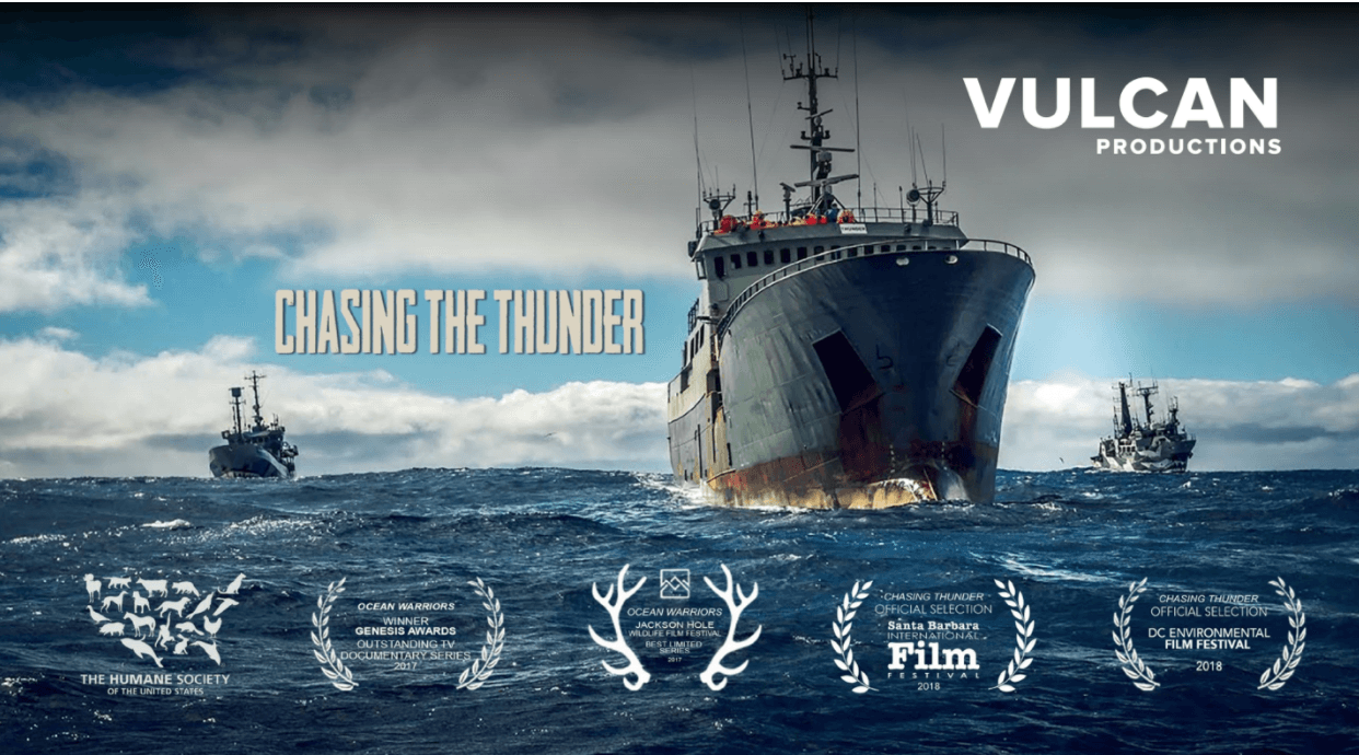 How Filmmakers Can Help Save the Environment