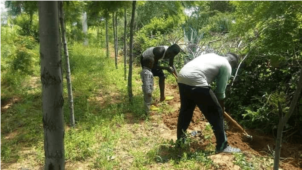 How Filmmakers Can Help Save the Environment