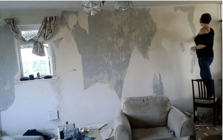 From HandyCam to Global Distribution The Story of a Filmmaker