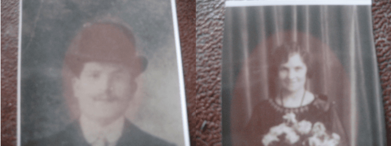 Finding a Renewed Passion for Writing Never Give Up