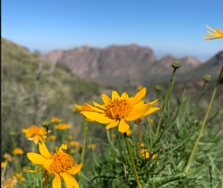 Mental Health Why it Should Be Part of Your Creative Process