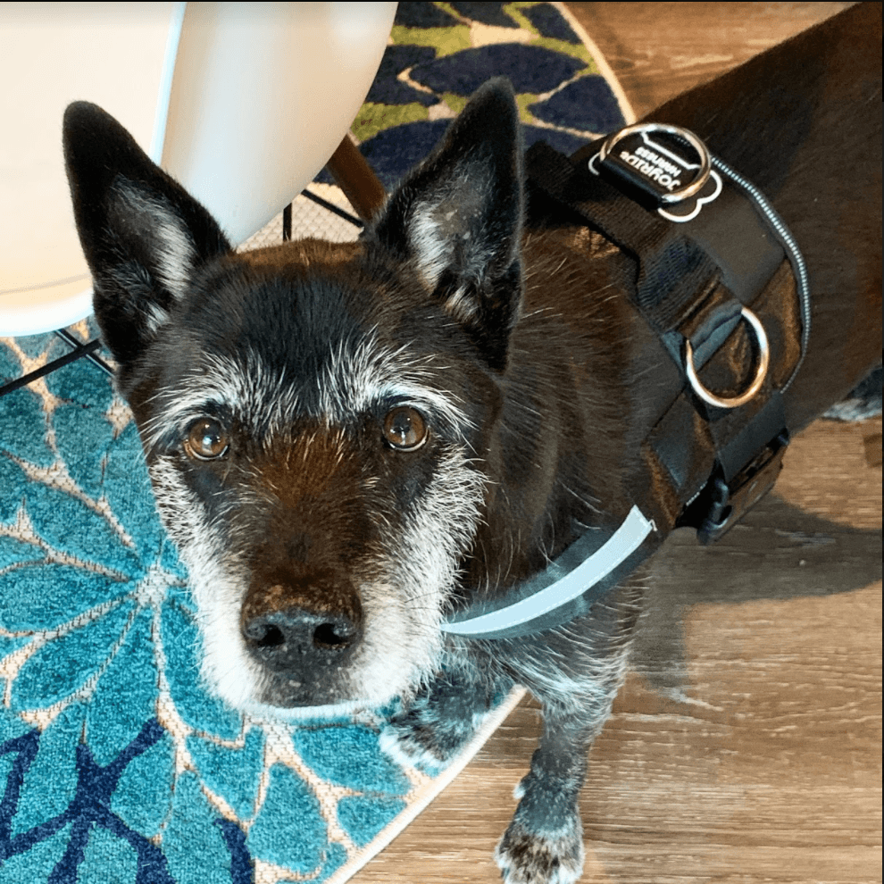 Mental Health Why it Should Be Part of Your Creative Process