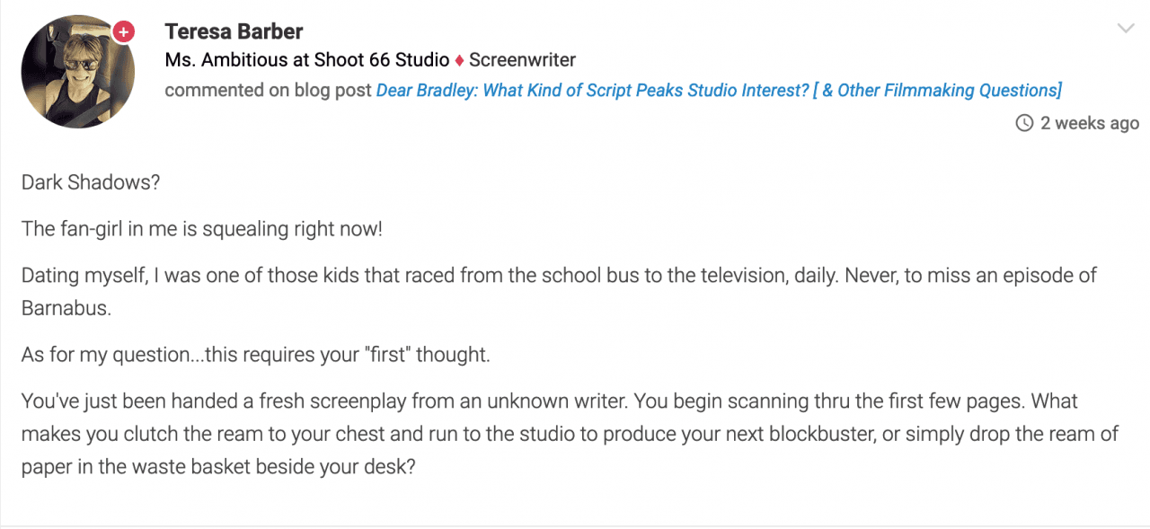 Dear Bradley How Do I Finance My Pilot Other Filmmaking Questions